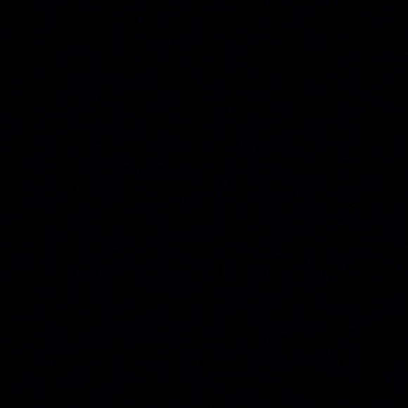 Meet your Posher, Marisol - Picture 1 of 1